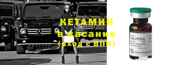 твердый Лагань