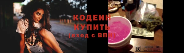 твердый Лагань