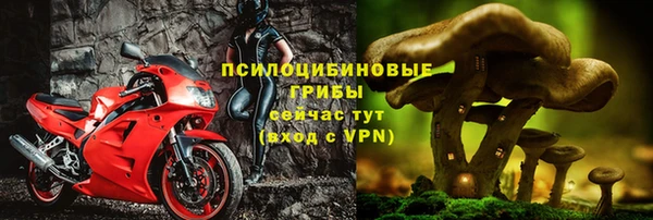 метадон Лабытнанги
