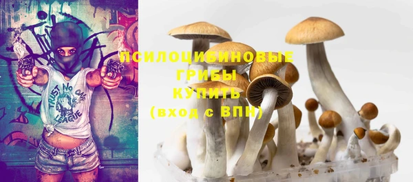 ECSTASY Володарск