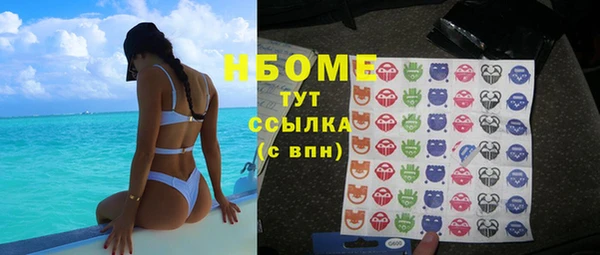 твердый Лагань