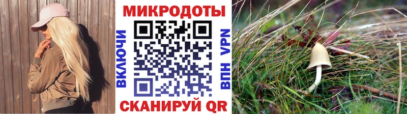 наркошоп Урус-Мартан Галлюциногенные грибы MAGIC MUSHROOMS