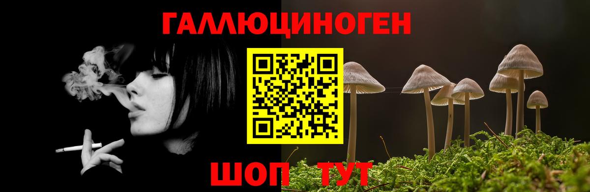 Галлюциногенные грибы мицелий Урус-Мартан